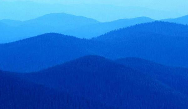 Mavi rengin zerimizdeki etkisi ok fazladr; sakinliin ve mutluluun rengi diyebiliriz. zellikle ak mavi renkler kiinin i ve ev ortamnda sk olarak kullanmas gereken renktir.