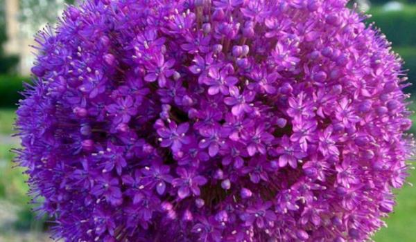 Nevrotik duygular aa kardndan, bilinalt insanlar korkuttuu saptanmtr.