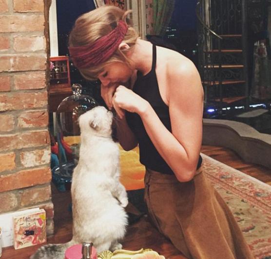 Taylor Swift'in ev hali.