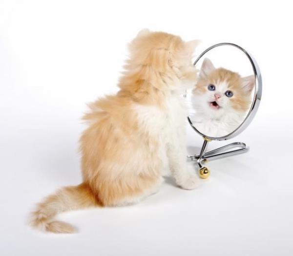 <p><b>2. Kendine daha az gven</b></p> Aratrmalara gre Facebook arkadalarnn albmlerine bakan insanlar kendilerini onlarn yerinde grebilmek iin kt bir ruh haline brnyor.