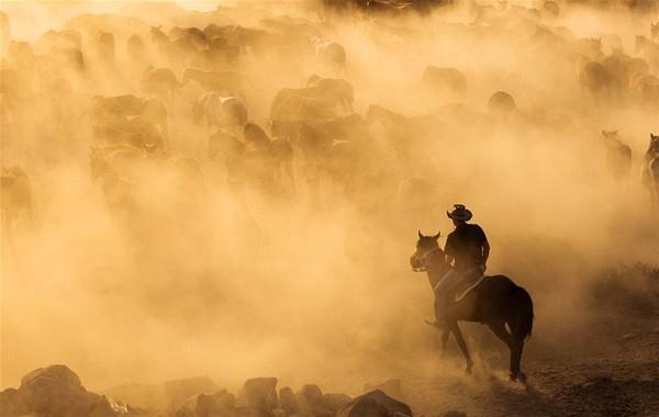 Romanyal fotoraf Dan-Alandru Miric Kayseri'de ektii fotoraflarla beeni toplad. ngiliz basn "Vahi Bat Trkiye'ye geldi" balyla 39 yandaki fotorafnn ektii karelere geni yer ayrd.
