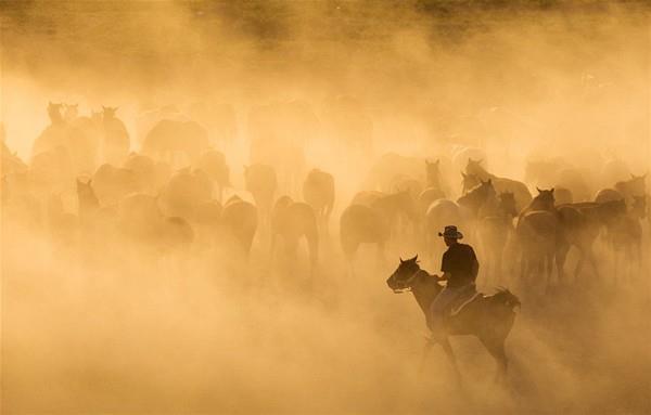 Rumen fotoraf Miric&#8217;in Kayseri&#8217;de ektii at obanlarnn fotoraflarna ngiliz basn ok geni yer verdi.