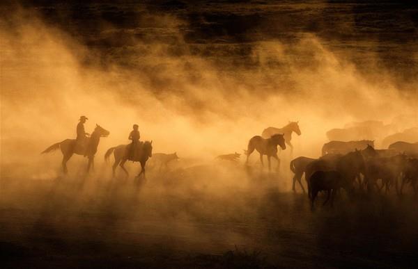 "Fotorafn n ayarlamak zor oldu nk toz bulutu devaml deiim iindeydi. Manzarada bazen ok bazen de az toz vard; bu nedenle ayarlar hzl bir ekilde deitirmem gerekiyordu.