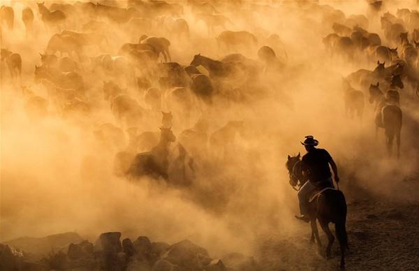 stediim eyin fotorafn ektiimden emin olmak ve duygularm da iin iine katmak iin sadece bir manzaray ya da bir at takip ediyordum.
