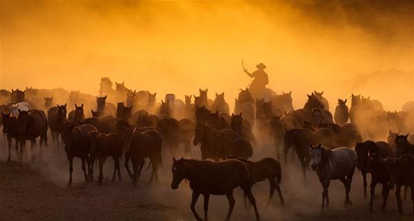Fotorafn ekmek istediim bir sonraki an lmlemeye alyordum" diyen Dan-Alandru Miric, fotoraf sanatna dair nemli tyolar da paylat.
