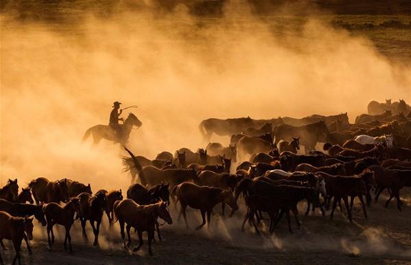 Miric ektii fotoraflarn kendisine sinemann efsane oyuncular John Wayne and Clint Eastwood'u hatrlattn syledi. "O an, ok glyd.