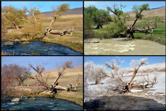 Van'da yl iinde farkl bitki rts ve tonlarn olutuu doada, ayn noktadan farkl mevsimlerde ekilen fotoraf kareleri, drt mevsimi olanca gzellii ile gzler nne seriyor