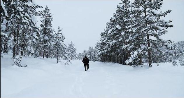 KARS'TA KAR TATL  <p>Kars'ta il genelinde okullarda eitime youn kar ya nedeniyle bugn bir gn sreyle ara verildi.