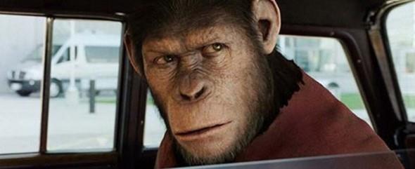 Rise of the Planet of the Apes    Bilgisayardaki grntlerden biri...