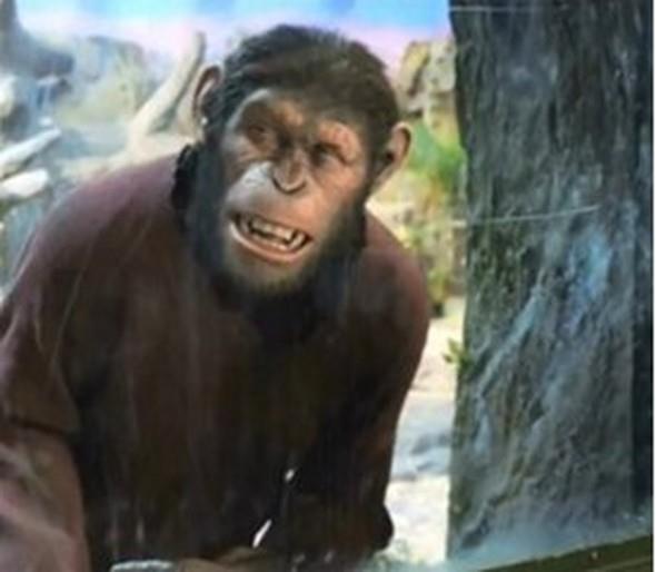 Rise of the Planet of the Apes    Gerek ise byle...