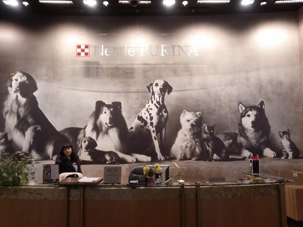 Nestl Purina PetCare