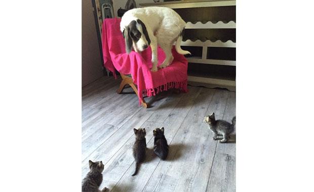 Baz eylerin inanlmaz derecede iyi zamanlanmas, evrenin gerek olamayacak kadar iyi olduunu bize hatrlatr. te o anlardan bazlar;