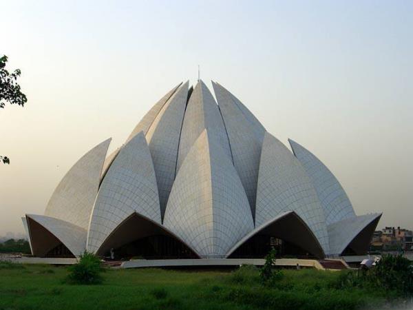 Nilfer Tapna (Delhi, Hindistan)