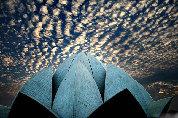 Nilfer Tapna (Delhi, Hindistan)