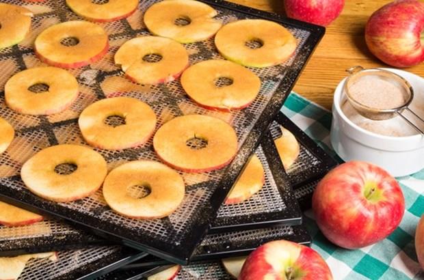 Elma cipsi: 2 adet elma, yarm limon, tarn. Elmalar incecik dilimleyin. zerlerine 1-2 damla limon suyu damlatarak parmanzla yzeyine yayn. Limon elmalarn kararmasn nleyecektir. Yal kat serdiiniz tepsiye dizin ve zerine tarn serpin. 100 derece frnda 1 saat tutun. Tercihen gece yapn elmalar tm gece frnda kendi kendine souyan frnda kalrsa tr tr olur.