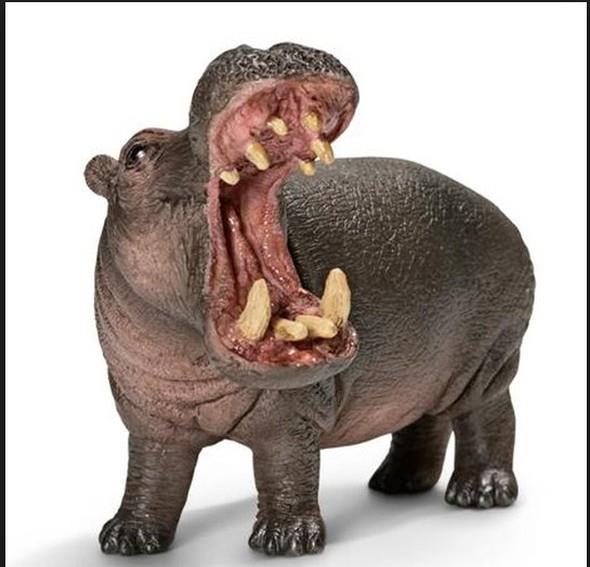 Tek bir sryla koca koca memelileri annda ldrebilecek kadar gl bir ene yaps ve dev gibi dilere de sahip olduundan,genelde saldrlarndan canl kurtulmak mmkn olmuyor. Su aygrlar, insanlarn kendilerine fazla yaklamasndan holanmyor.Zaten ksa srede 'sinirlenebiliyor' olmasyla nl olan bu tr,byle bir durumda hi vakit kaybetmeden saldrya hazr hale geiyor. Biraz daha yaklamak,o kocaman dilerin tadna bakmaya raz olmak demek.