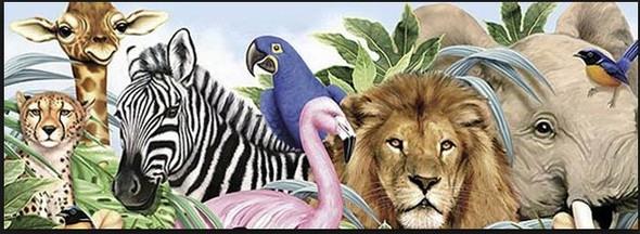 Afrika'daki en tehlikeli hayvan hangisi?