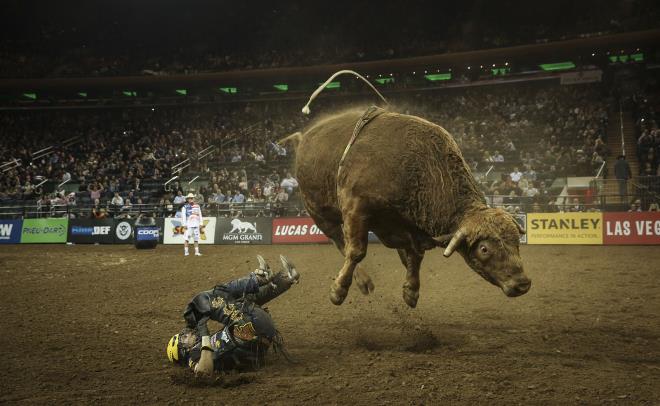 Rodeo ampiyonas    <p> Amerika\'nn nde gelen rodeocularn bir araya getiren Profesyonel Boa Binicileri (PBR) liginin New York aya Madison Square Garden\'da yapld.Cem zdel