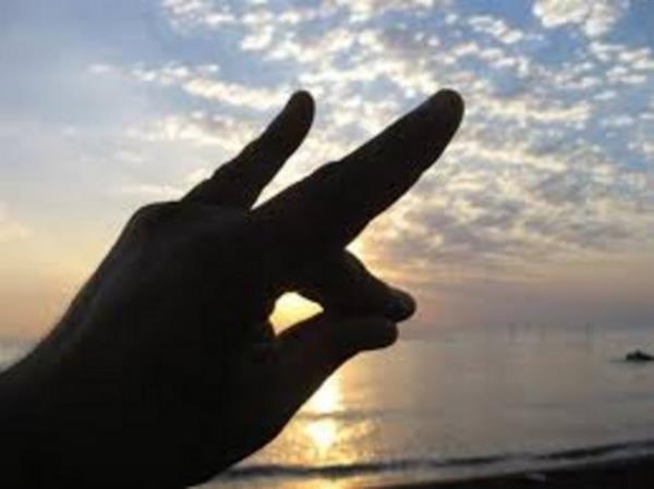 Alparslan Trke'e "Kurt'a benzeyen bu iaretin anlam nedir" diye sorulduunda, "MHP'nin ve lkclerin deimez simgesi bozkurt iareti simgesel manasyla bir kurttur...