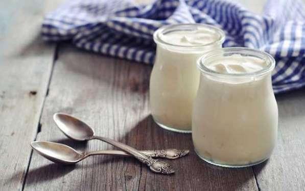 Yourt iinde kalsiyum ve aminoasit bulundurur ve bnyedeki fazla yalarn yaklmasna yardmc olur.