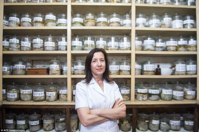 Enstitnn Nroloji blmnden Dr. Diana Rivas mzenin ilk amacnn eitim olduunu vurguluyor ve &#8220;Bu eitim bilim insanlar dnda ii bilim olmayan sradan insanlar iinde nemli. nsanlar buraya geldikten sonra &#8216; kendime iyi bakmalym beynim nemli&#8217; demelerini hedefliyoruz.&#8221; Dedi.