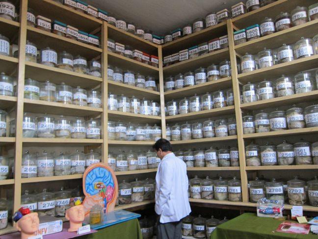 Yalnz salam midesi olanlarn ziyaret edebilecei mze; Beyin Mzesi.      Peru'da bulunan bu ilgin mze tam 2.912 beyne ve saysz kafatasna sahip.