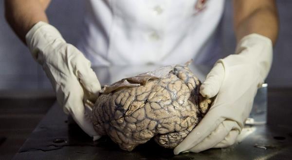 Buna ramen mze giriinde yetkililer bu konuda kk hatrlatmalarda bulunuyor...