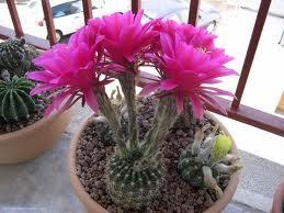 KAKTS tenlik; "Akmz iin zorluklara katlanmalyz!"