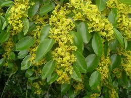 KARAALI: "Dostluumuz uzun mrl olsun!"