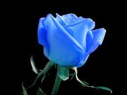 MAV GL: Sevginizin ve aknzn ilahiliini gsterir