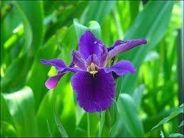 SSEN E: "Sana bir haberim var!"