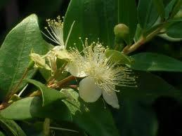 MERSNAACI: "ok mutluyum, nk seni seviyorum!"