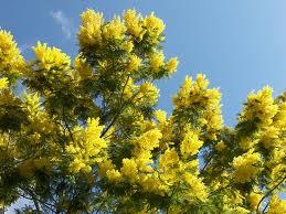 MMOZA: "Fazla alngansn!"