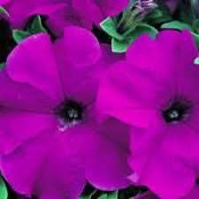 KSEKOTU: "Sorunlarn stesinden geleceim."