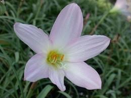 YENBAHAR: "Acn paylayorum."