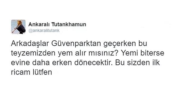 Fotoraf eken ziyaretimizin mesaj: 29 Aralk'ta Ankara Gvenpark ierisinde ku yemi satan Nezegl Yldrm teyzeyi o souk havada fotorafladm. Fotoraf sosyal medya hesaplarma ykledim. Sonrasnda teyzeye yardm etmek isteyen birok kii iletiime geti. Bunlar olurken fotoraf sosyal medyada yaylmaya balad. Onlarca farkl sitede binlerce paylam...   Ve sonu.  -yi kalpli insanlarn hala var olduunu bilmek gzel.