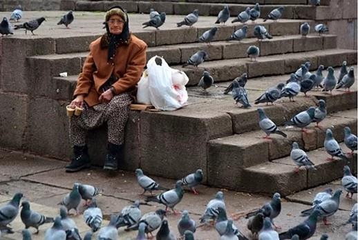 nk yemlerini ne kadar abuk bitirirse, karda kta darda kalmas o kadar erken biter ve evine dner.