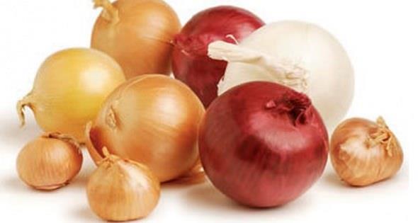 Soan: Kuersetin ierir, vcudun inflamasyonlarla mcadelesine yardmc olabilecek gl bir antioksidandr.     Solunum yollarn uyarr ve balgam sktrcdr. Soan kantlanm antioksidan ieren bir besindir, zellikle kolon kanseriyle tedavide yardmc olduu (Kimya ve la Aratrmalar Dergisi 2010) saptanmtr.