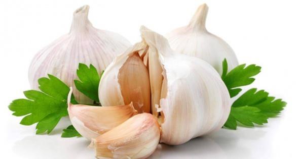 Sarmsak: nflamasyonu azaltmaya yardmcdr. Washington State niversitesi Mays 2012&#8217;de yaplan bir almada sarmsan barsak hastalklarnn nedenlerinden olan Campylobacter bakterisi ile mcadele eden iki antibiyotikten 100 kat daha etkili olduu bulunmutur.