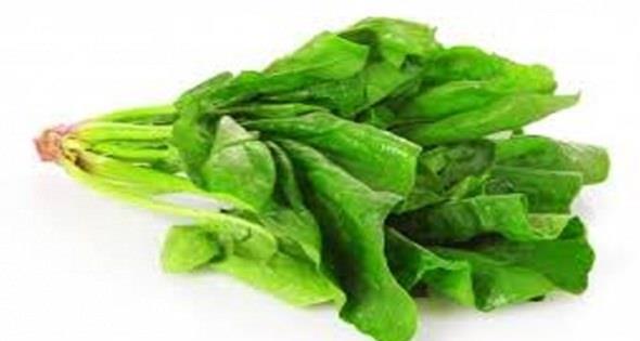 Ispanak: Yksek besin younluuna sahip besinlerden biridir.     Fitonutrientlerden (bitkisel besin eleri) esiz bir karm ierir, antioksidanlardan zengindir ve hcre hasarna kar koruyan anti inflamatuar bileenler ierir.