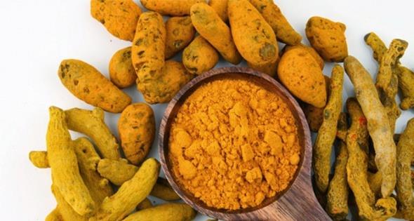 Zerdeal: Anti inflamatuar zelliklere sahiptir ve anti inflamatuar ilalardan daha etkili olduu almalarca gsterilmitir.     Kurkumin aktif bileeni molekler dzeyde inflamatuar yolda birden fazla admda iyiletirici zellie sahiptir. (HA)