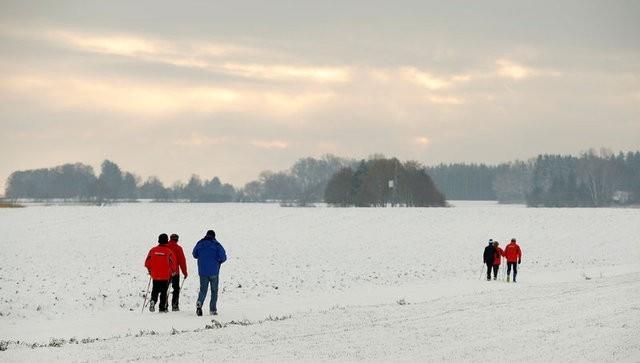 Eer mecbur kalnrsa btn tedbirler alndktan sonra, bir refakati eliinde sokaa kmalar faydal olmaktadr. ocuklar, dmelerde erikin ve yallara gre daha ansldrlar. Kemik yaplar daha esnek olduu iin, ocuklarda ciddi krklara (eklem ii vb.) nadiren rastlanmakla birlikte, dirsek ve el bileinde oluabilecek krklar sknt yaratabilmektedir.
