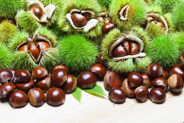 KESTANE LE 3 KI LEZZET  <p>  Kestane toplar: 1 avu i badem. 100 gr. Halanm kestane. 1 tatl ka hindistancevizi ya. 1 tatl ka kakao.<p>    Malzemelerin tmn gerekirse su da ekleyerek blenderize edin. Yuvarlayarak minik toplar yapn ve yaklak 2 saat buzdolabnda bekletin. Kestane toplar hem misafirlerinize ikram edebileceiniz bir seenek hem de sizin iin iyi bir ara n alternatifi olacaktr.