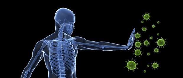 Bakl glendiriyor: Enfeksiyonlara kar koruyucu zellii olan vitamin A, antikor oluumuna yardmc olan vitamin C, antioksidan olarak grev yapan vitamin E ve bakl glendiren vitaminler. Kestane bu vitaminlerin hepsinden belirli miktarlarda ieriyor. Ara nlere yaylarak tketilecek gnde 3-6 tane kk boy kestane, ierdii C vitamini ile bakln glendirilmesine katk salyor; gribe kar koruyor, hcrelerin yalanmasna kar da savayor.