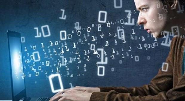 11. Yazlm mhendisi (idareci) 168 dolar