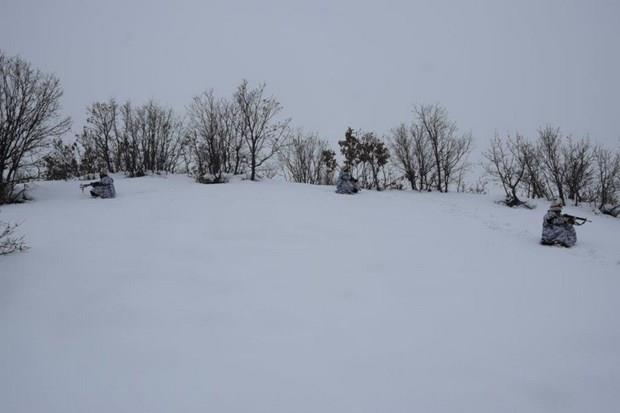 49'uncu Komando Tugay Komutanl tarafndan, 31 Aralk 2016 &#8211; 07 Ocak 2017 tarihleri arasnda Bingl Gen ilesi krsalnda ar k artlarnda 8 gn sre ile 'ehit Piyade Binba Turgay elik-5 Operasyonu' dzenlendi.
