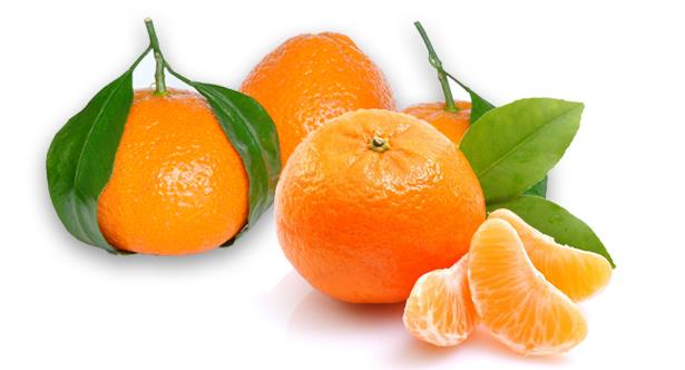 Mandalina: ok ciddi kullanlabilir C vitamini ierir. Mandalinada bulunan antioksidan vcudu glendirerek, enfeksiyonlara kar savamasn kolaylatrr. Gnde 2 tane mandalina yemek vcut direncini artrr.