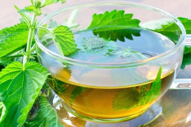 Isrgan: Isrgan; antioksidan ierii ok yksek olan bitkilerdendir. Antioksidanlar vcutta serbest radikallerle savaarak baklk sistemini glendirirler. Gnlk 1 tutam srgan, baklk sistemini glendirirken kanser tedavisinde de ska bavurulan bitkilerden biridir. Isrgan otunu yaptnz karm olan aylara ilave ederek de tketebilirsiniz.