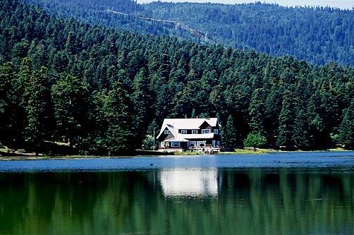 <p><b>BOLU</b></p>  Genel sralamada: 7   <p>Ekonomi: 45</p>  Eitim: 10  <p>Salk: 2</p>  Gvenlik: 62  <p>Kent hayat: 31</p>  Kltr sanat: 19