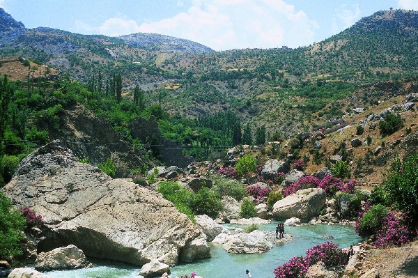 <p><b>ADIYAMAN</b></p>  Genel sralamada: 62  <p>Ekonomi: 54</p>  Eitim: 65  <p>Salk: 75</p>  Gvenlik: 30  <p>Kent hayat: 14</p>  Kltr sanat: 72